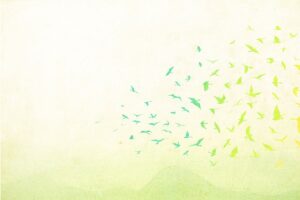 Flip_verde