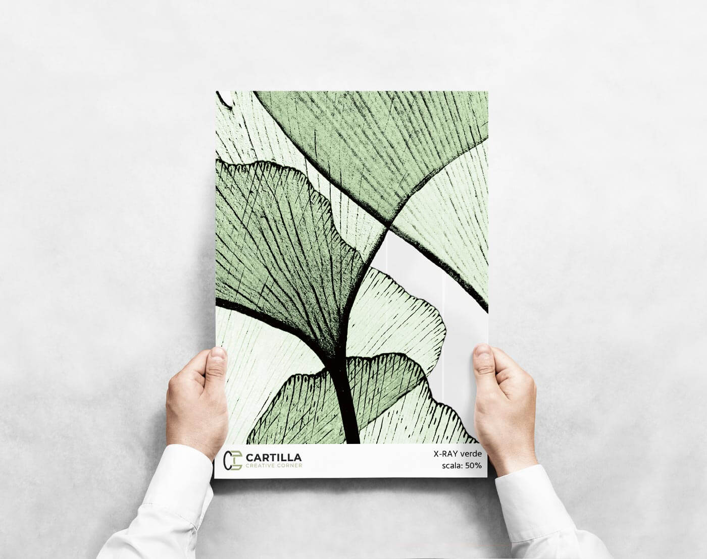 X-RAY VERDE