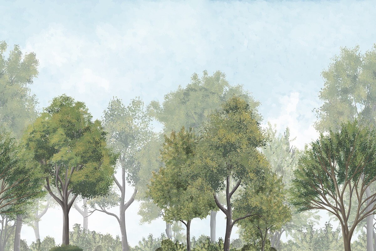 Romea carta da parati con bosco